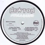 Newton - Streamline