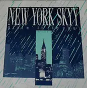 new york skyy - Givin' It (To You)