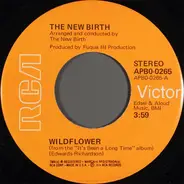 New Birth - Wildflower