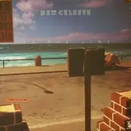 New Celeste - On the line