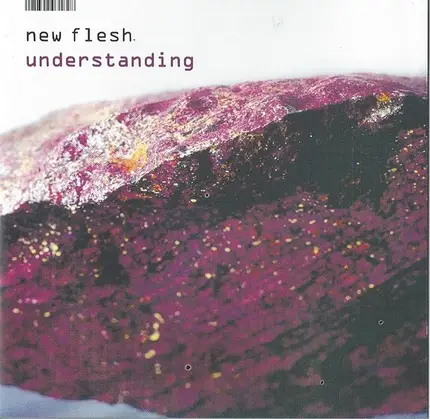 New Flesh - Understanding