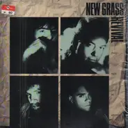 New Grass Revival - Friday Night in America