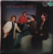 New Grass Revival - Hold to a Dream