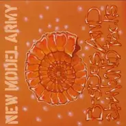 New Model Army - B-Sides And Abandoned Tracks