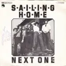 7inch Vinyl Single - Next One - Sailing Home