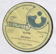 12'' - Next Big Error - Big Shot