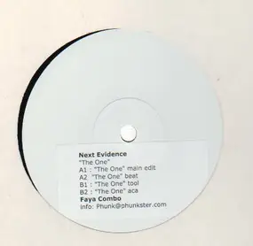 Next Evidence - The One