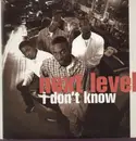 12'' - Next Level - I Don't Know