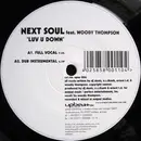 12inch Vinyl Single - Next Soul - Luv U Down