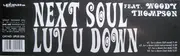 12inch Vinyl Single - Next Soul - Luv U Down