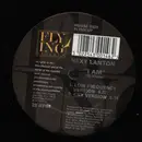 12inch Vinyl Single - Nexy Lanton - I Am