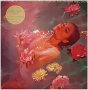 LP & MP3 - Nina Nesbitt - Sun Will Come Up, The Seasons Will Change - Download