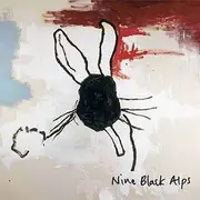 CD - Nine Black Alps - Everything is