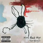 CD - Nine Black Alps - Everything Is