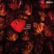 LP - Nine Days Wonder - Nine Days Wonder