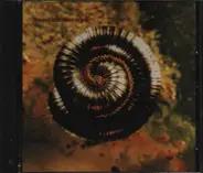 Nine Inch Nails - Closer To God