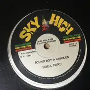 Ninja Ford - Sound Boy A Chicken / Strong Strong Love