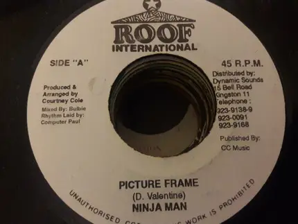Ninjaman - Picture Frame