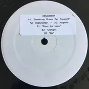Ninjasonik - Somebody Gonna Get Pregnant