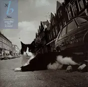 Nino Buonocore - Una Città Tra Le Mani