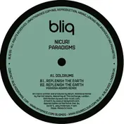 Nicuri - Paradigms