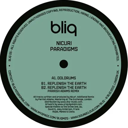 Nicuri - Paradigms