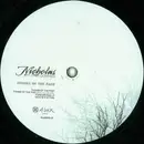 12inch Vinyl Single - Nicholas Ft. Stee Downes - Things Of The Past