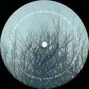 12inch Vinyl Single - Nicholas Ft. Stee Downes - Things Of The Past