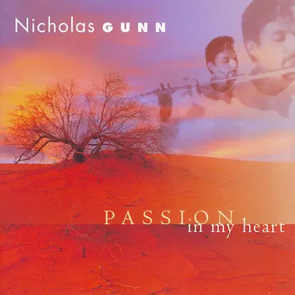 Nicholas Gunn - Passion in My Heart