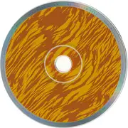 CD - Nicholas Gunn - The Sacred Fire