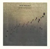 NICK MULVEY - FEVER TO THE FORM