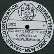 Nick Anthony - Moonlight Music EP