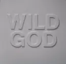 LP - Nick Cave & The Bad Seeds - Wild God - Grey Vinyl