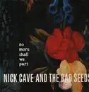 Double LP - Nick Cave & The Bad Seeds - No More Shall We Part