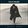 CD-Box - Nick Drake - Fruit Tree