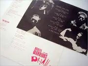 LP - Nickey & The Warriors - Dreams - INSERT