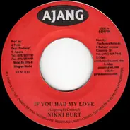 Nicky Burt / Fire Fly - If You Had My Love / Rise