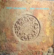 LP - Nicky Skopelitis - Next To Nothing