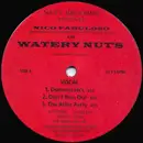 12inch Vinyl Single - Nico Fabuloso - Watery Nuts