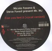 nicola fasano - Can You Feel It