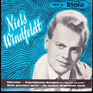 Niels Windfeldt - Hjemløs