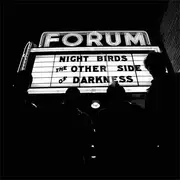 LP - Night Birds - The Other Side Of Darkness - LTD ED