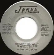 Night Owl Band