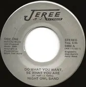 Night Owl Band