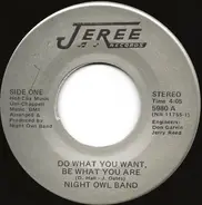 Night Owl Band - Do What You Want, Be What You Are / I Thank God