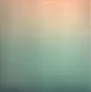 Double LP - Night Sea - Still - Clear Vinyl