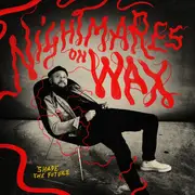 Double LP - Nightmares On Wax - Shape The Future