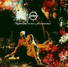 Nightmares on Wax - Mind Elevation