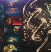 Double LP - Nightwish - Endless Forms Most Beautiful