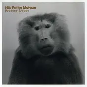 Nils Petter Molvær - Baboon Moon